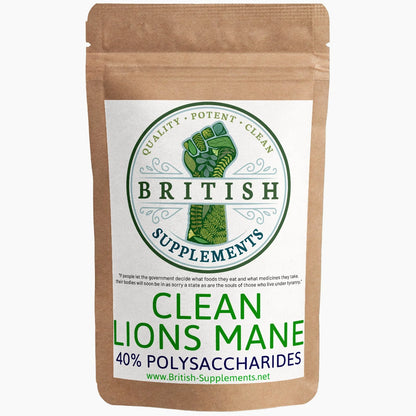 CLEAN Genuine Lions Mane Extract + Uptake Blend