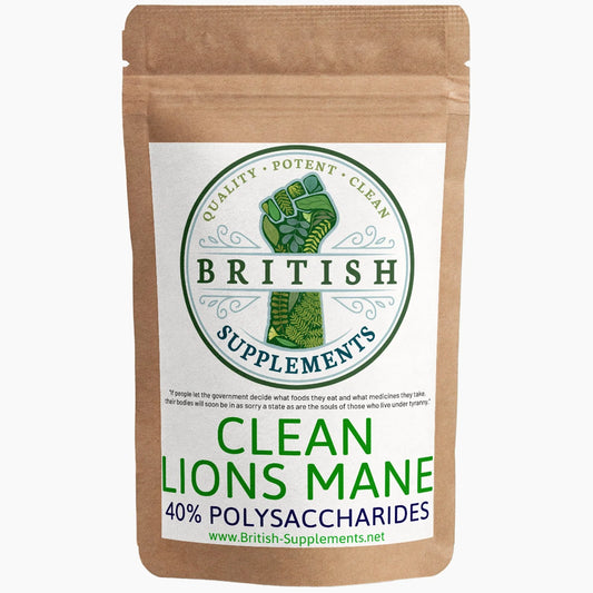 CLEAN Genuine Lions Mane Extract + Uptake Blend