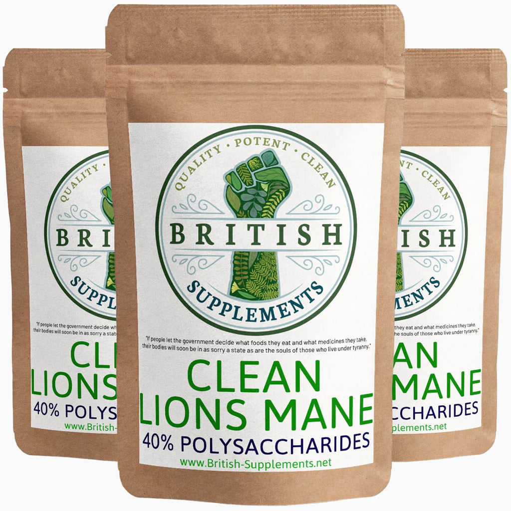 CLEAN Genuine Lions Mane Extract + Uptake Blend