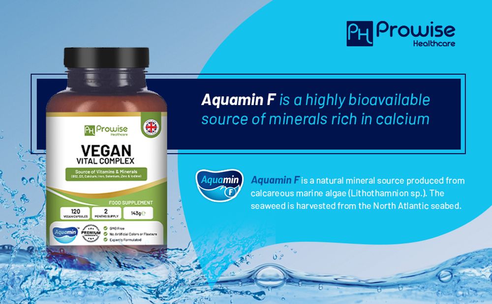 Prowise Vegan Vital Complex - Vitamins and Minerals Formulation to Support a Plant